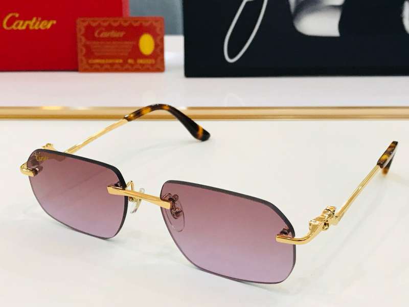 Picture of Cartier Sunglasses _SKUfw55118340fw